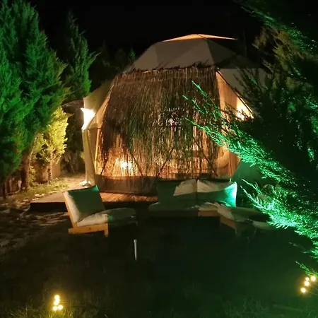 Casablanca Glamp Suit Δεκελί