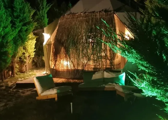 Casablanca Glamp Suit Dikili