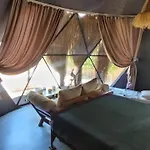 B&B Casablanca Glamp Suit *