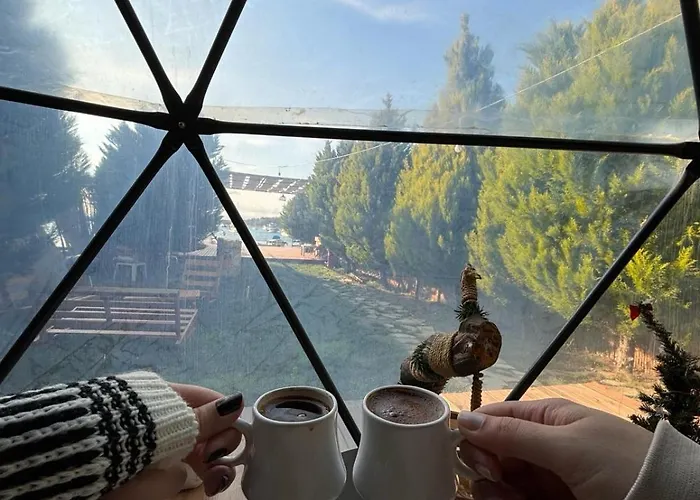 Casablanca Glamp Suit Dikili